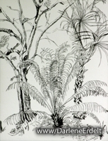 Palms and Oaks