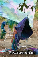 Fabric In The Garden