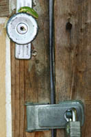 Frog On Knob